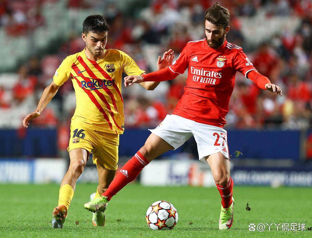 本菲卡比赛直播